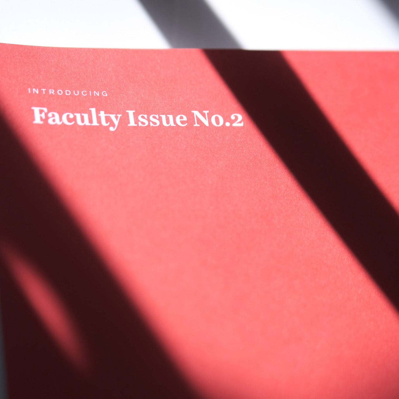 Faculty Issue 2