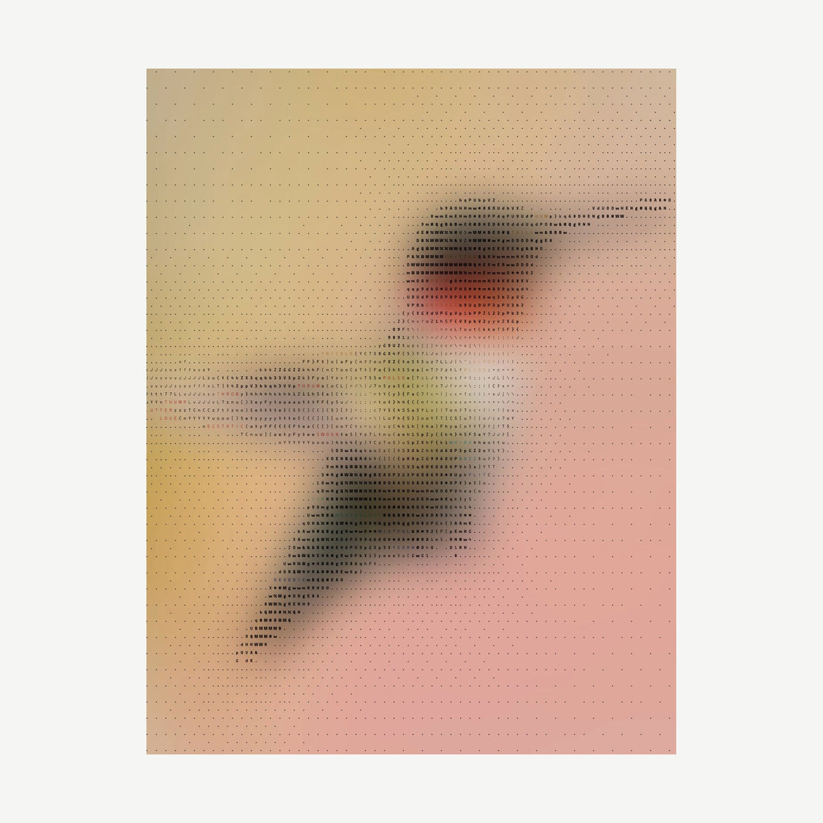 Faculty 3, the cover: the soft-focus hummingbird under the cover’s ASCII artwork